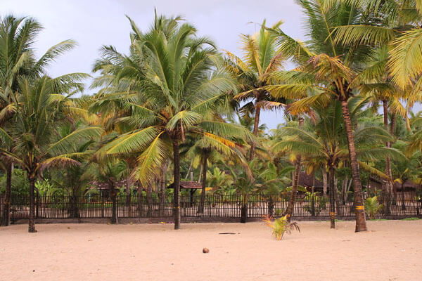 Marari Beach, Kerala