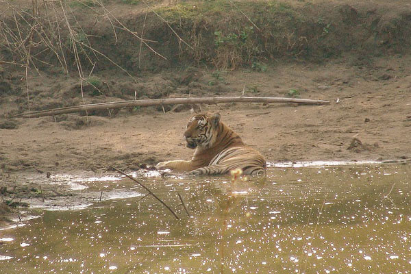 Nagarhole