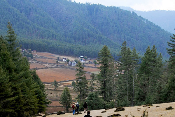 Phobjikha Valley